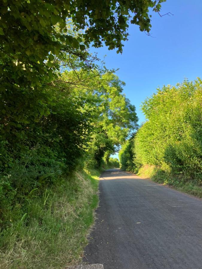 Barn In Somerset Romantic Hideaway Nettlecombe  エクステリア 写真