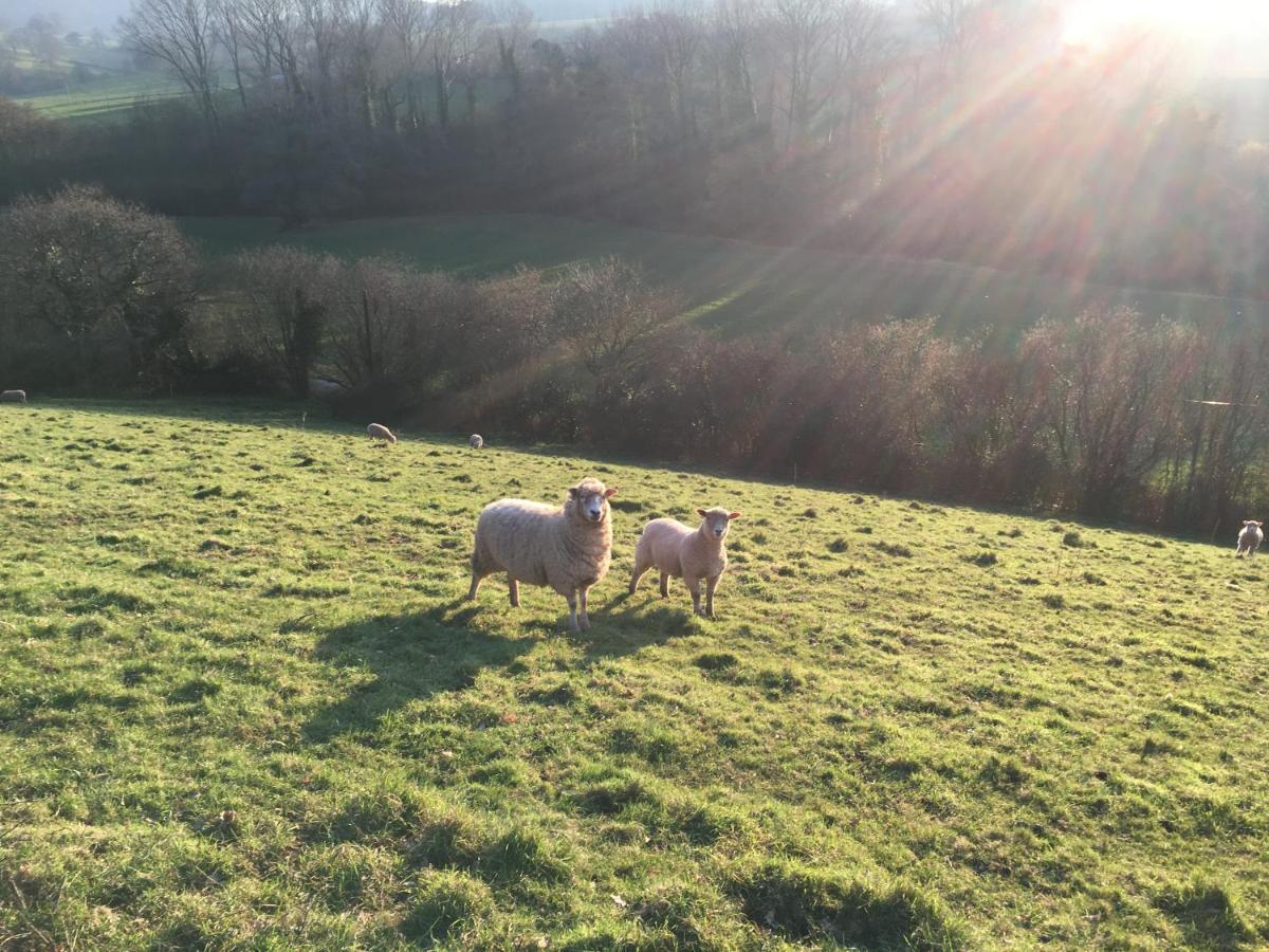 Barn In Somerset Romantic Hideaway Nettlecombe  エクステリア 写真