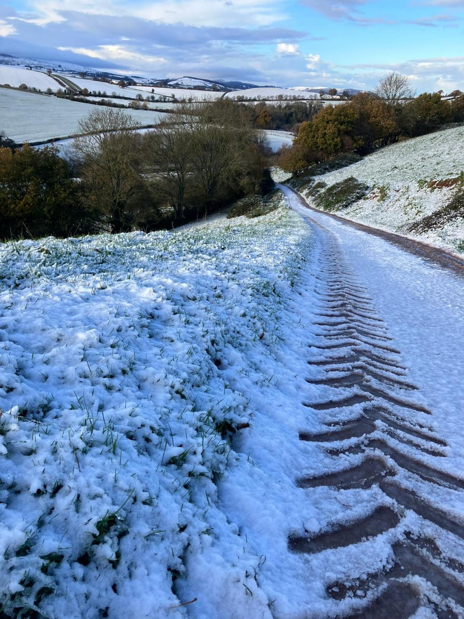 Barn In Somerset Romantic Hideaway Nettlecombe  エクステリア 写真